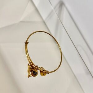 Alex And Ani Dolphin bracelet